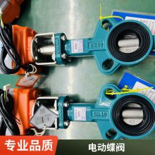 ɭD971X-16 DN125Լʽˮõ綯 ȼIP67綯