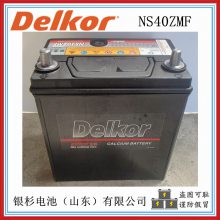 ¸Delkor31-900 12V-100AHǦᶯ