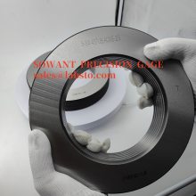 ߶˹AcmeȫƻCNAS