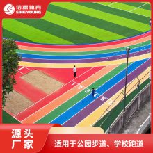 防滑耐磨 可按需定制 学校塑胶地面跑道 全塑型自结纹