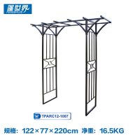 定做铁艺家具自建院子欧式围墙铁艺大门TPARC12-1007