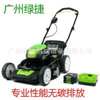 80V21߼ݻ﮵ݻgreenworks﮵ˢƲݻ