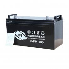 6-FM-100 ܷʽǦ 12V100AH UPSֱ