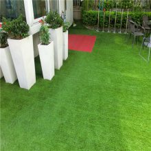 չ��������ƺ �ٲ�ƺ�߶� �ֻ��˶�������