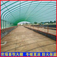 山羊养殖棚搭建 保温羊棚建设 钢架养羊棚施工厂家