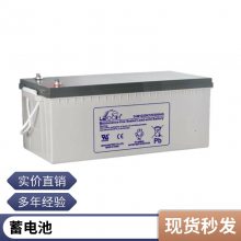 LEOCH ʿDJM12100S ̶12V100AH 20HR άҵƿ