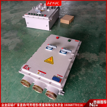 TXϽڒʽ䶨ƏSȼױh(hun)BXK51ϵ