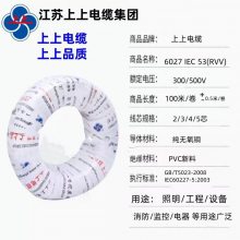 ϵ¼YZW 4*0.75/1/1.5/2.5/4/6ͭо𽺵