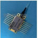Ʒ 2004nm DFB light Source
