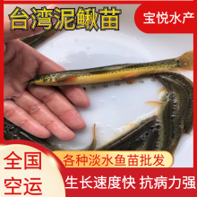 ȫ깩Ӧ巢