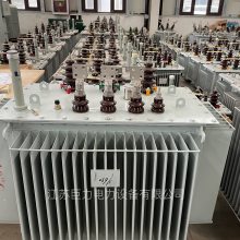 S13-630KVA/35KVͽʽѹ10KV/35KVͽʽѹ