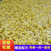 日产300斤箱式智能豆芽机 不用人工看管的全自动豆芽机械设备