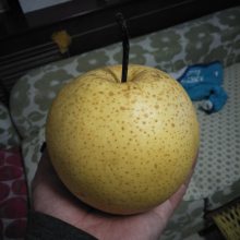 12 쿼˹