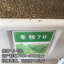 ͺݶ70ţ