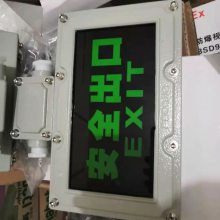 BAJ52˫ͷӦ2*6W ȫڵ