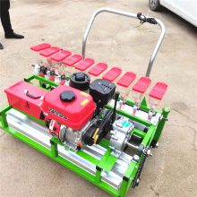 Ӧʽ߲˲ֻ 㾫 ҩĹֲ