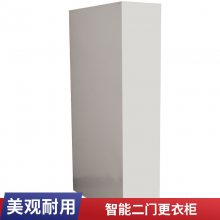现代简约两层二门更衣柜 防火防磁置物柜 家庭用钢制铁皮柜
