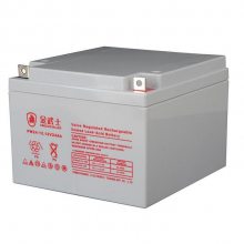 ʿ PW12V100AH-YA 12V100AH UPSԴӦϵͳ