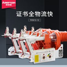 ɿ ոɿ Īɭ FKN12-12RD/T125-31.5 ڸѹɿ ֱ