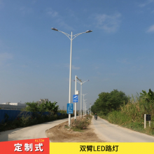 大理路灯厂家 市政接电LED照明 工程产品定制式亮化