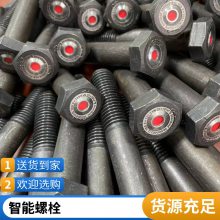 Monel 400̼Ӧ ˶400˨ ĸ SmartBoltS-Ӿָʾ˨