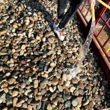 山东鹅卵石净水处理鹅卵石垫层鹅卵石虑料承托层生产厂家