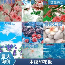 Ӧ0.11-1.2ӡʸ־Ϳӡ