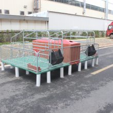 四川自贡市 母猪仔猪保育床分娩床复合单体双体产床 复合电热板 养猪场批发定制