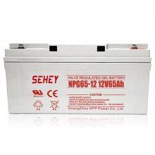 SEHEYNPG90-12Ǧά12V90AHʽֱUPS/EPSⲹˮ