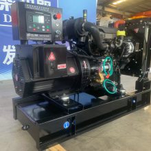 Ϋ���� 40kw�������ͷ������ WP2.3D48E200 ��ֳ������ �ɿ�����