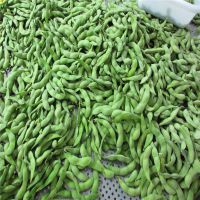 定制速冻毛豆荚加工生产线 毛豆清洗机器 青豆漂烫杀青设备