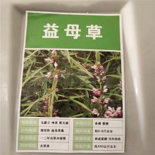 优质新中药材种子 益母草种子 发芽*** 价格便宜 ***