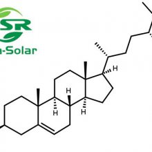 Beta-޴40%-80%Sitosterol