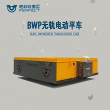 BWP޹˳綯޹콺ֳ綯ƽ峵