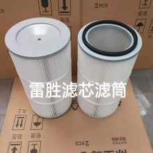 除尘滤芯 粉尘滤芯 自洁式空气过滤器滤芯定制 雷胜 规格较多