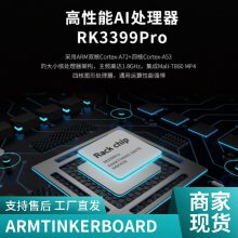 华硕ARM架构芯片处理服务器主板TINKER BOARD系列