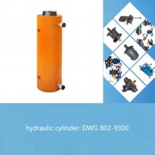 hydraulic cylinder DWG 802-9300-oil jackҺѹ͸ǧﶥ