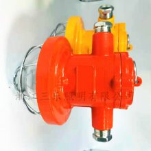 矿用隔爆型LED支架灯 DGC30/127L(C)DGC24/127L（C）