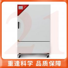 【BINDER宾德】KBF P系列恒温恒湿箱KBF P 240