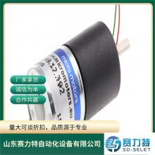 Micro Motors ֱ E192-12-5 ԭװ MGM ɲ