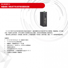 DS-3D20XT-Xϵ ʽǧ׹շͶ