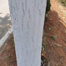 ݷɱͿ׼