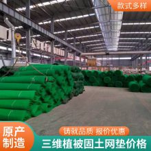 加筋麦克垫护坡网 三维植被网 绿化固土土工网垫 河道路基护坡