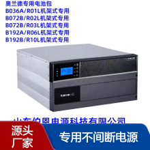 廠家授權(quán)奧蘭德電池包B192B專用不間斷電源10KVA9000W 機(jī)架式RT10L
