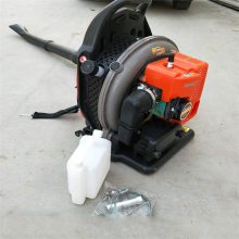 马路吹尘机 鲁华背负式汽油吹雪机 LH CFJ工程用吹风机