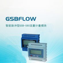 ӦGSBFLOWGSB-580ģ