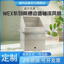 WEXD-550D4ǽʽ  ֵ뻷ͨͷ豸