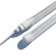 ledʳ ±˵ ʳרled