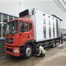 福田运猪车米 东风天龙拉猪车 6米8天锦恒温车