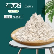 ��ϸʯӢ��1250Ŀ ���ڸ��Թ�΢�۰׶�90��ҵ��������ߵ����ܽ���